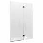 Душ двері METROPOLIS 120*195, прозора (AMP3412012M)
