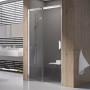 Душ. двері MSD 2-100 L, transparent, Профіль полір. алюм.