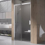 Душ. двері MSD 2-120 L, transparent, Профіль полір. алюм.